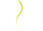Vertigo Pole Fitness